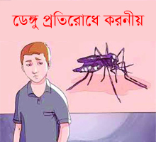 What to do to prevent Dengue